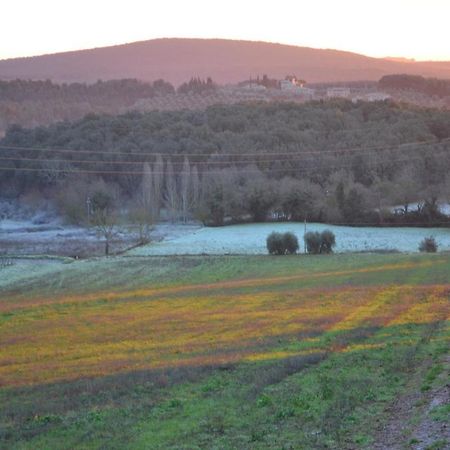 Podere Ficareto Farm Ancaiano 외부 사진