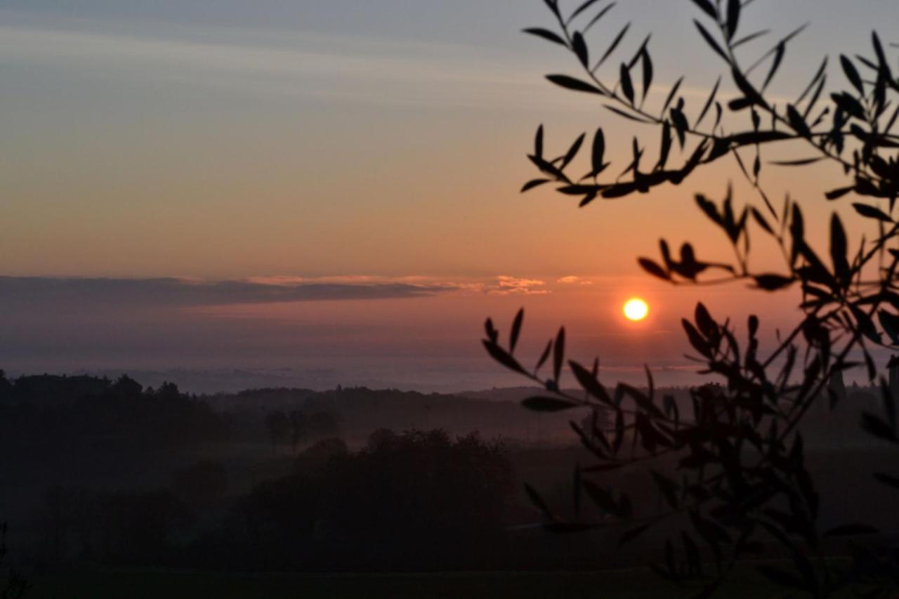 Podere Ficareto Farm Ancaiano 외부 사진