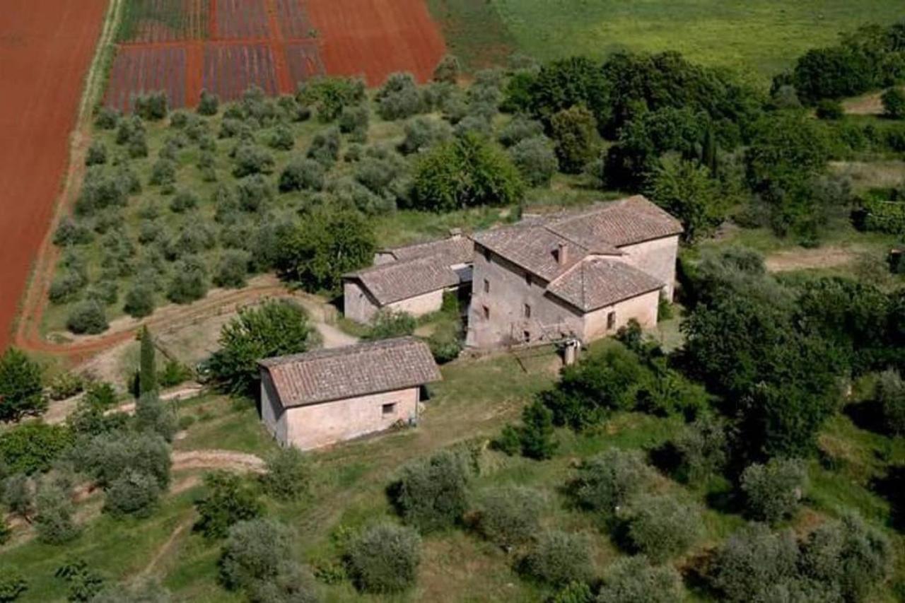 Podere Ficareto Farm Ancaiano 외부 사진